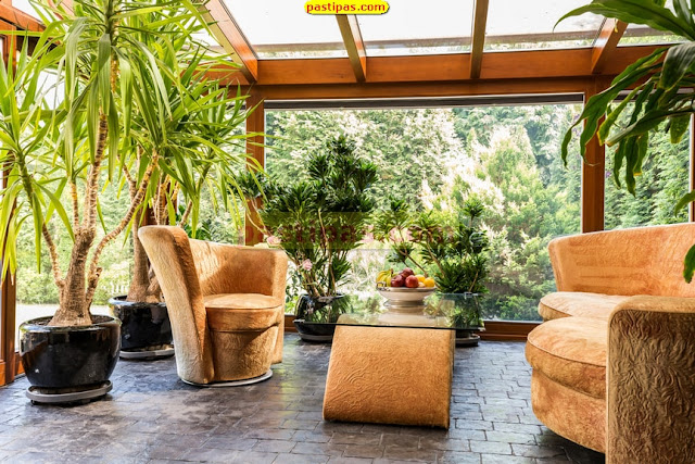 Eksterior Rumah Minimalis Dengan Taman di Depan Rumah dan Belakang Rumah 