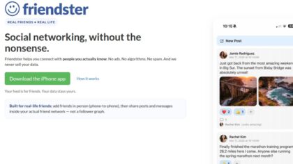 Perjalanan Domain Friendster.com, Mengulik Proses Akuisisi